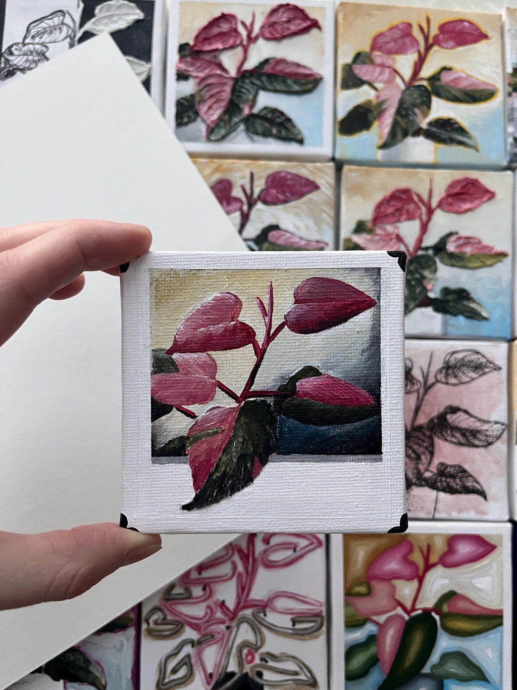 the polaroid, Pink Princess Philodendron painting 25