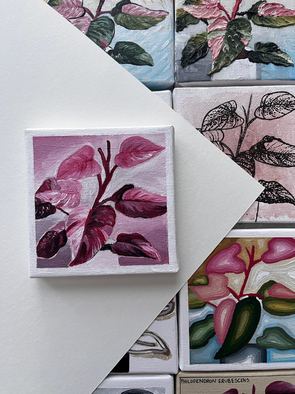 the monochromatic, Pink Princess Philodendron painting 16