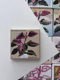 the vintage botanical, Pink Princess Philodendron painting 24