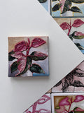 the moody texture, Pink Princess Philodendron painting 7
