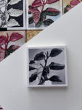 the black and white, Pink Princess Philodendron painting 23