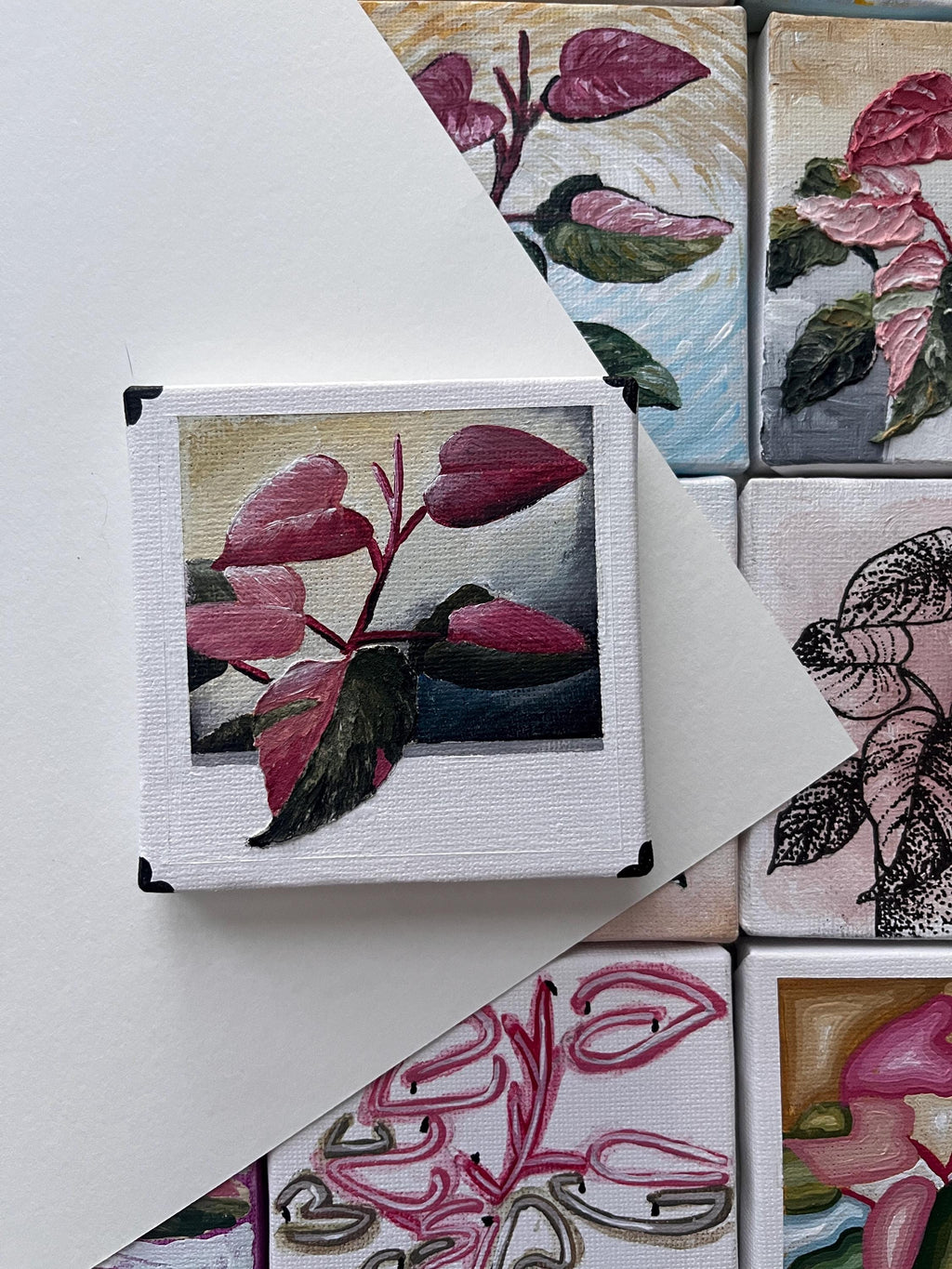 the polaroid, Pink Princess Philodendron painting 25