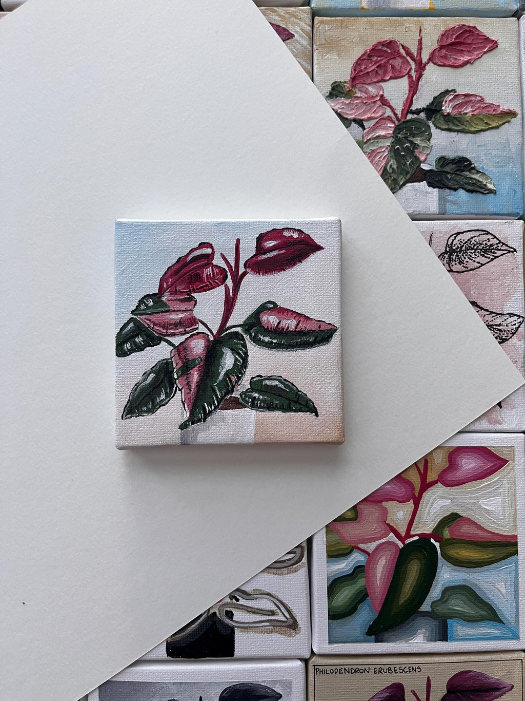 the balloons, Pink Princess Philodendron painting 13