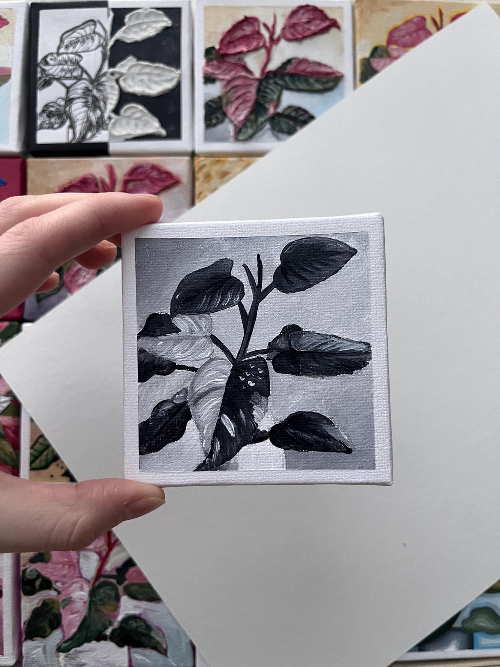 the black and white, Pink Princess Philodendron painting 23