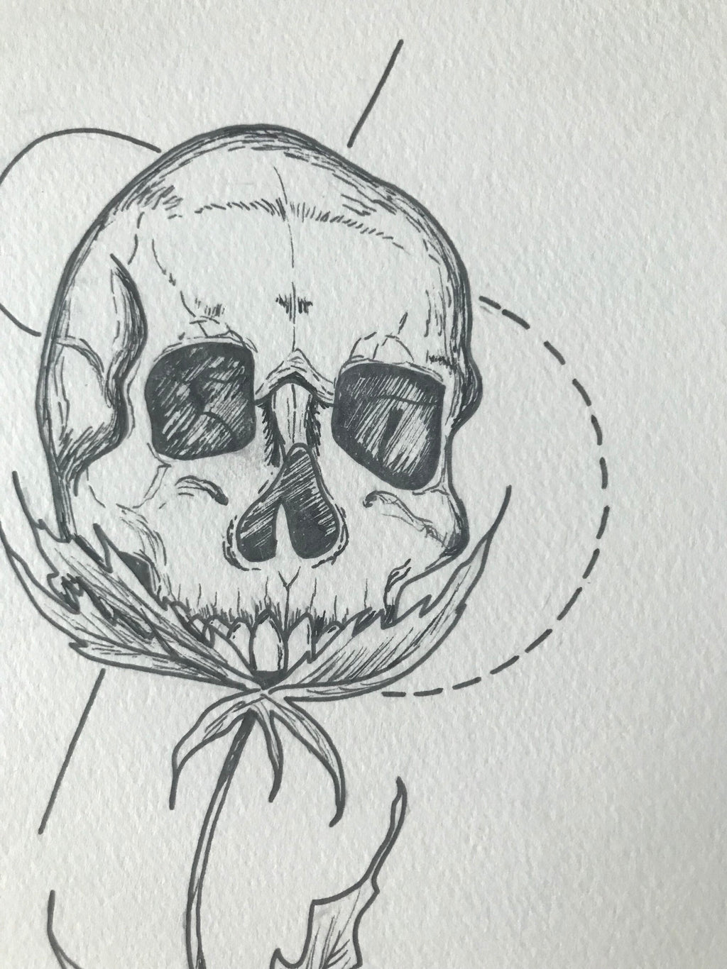 Skull Flower Art Print