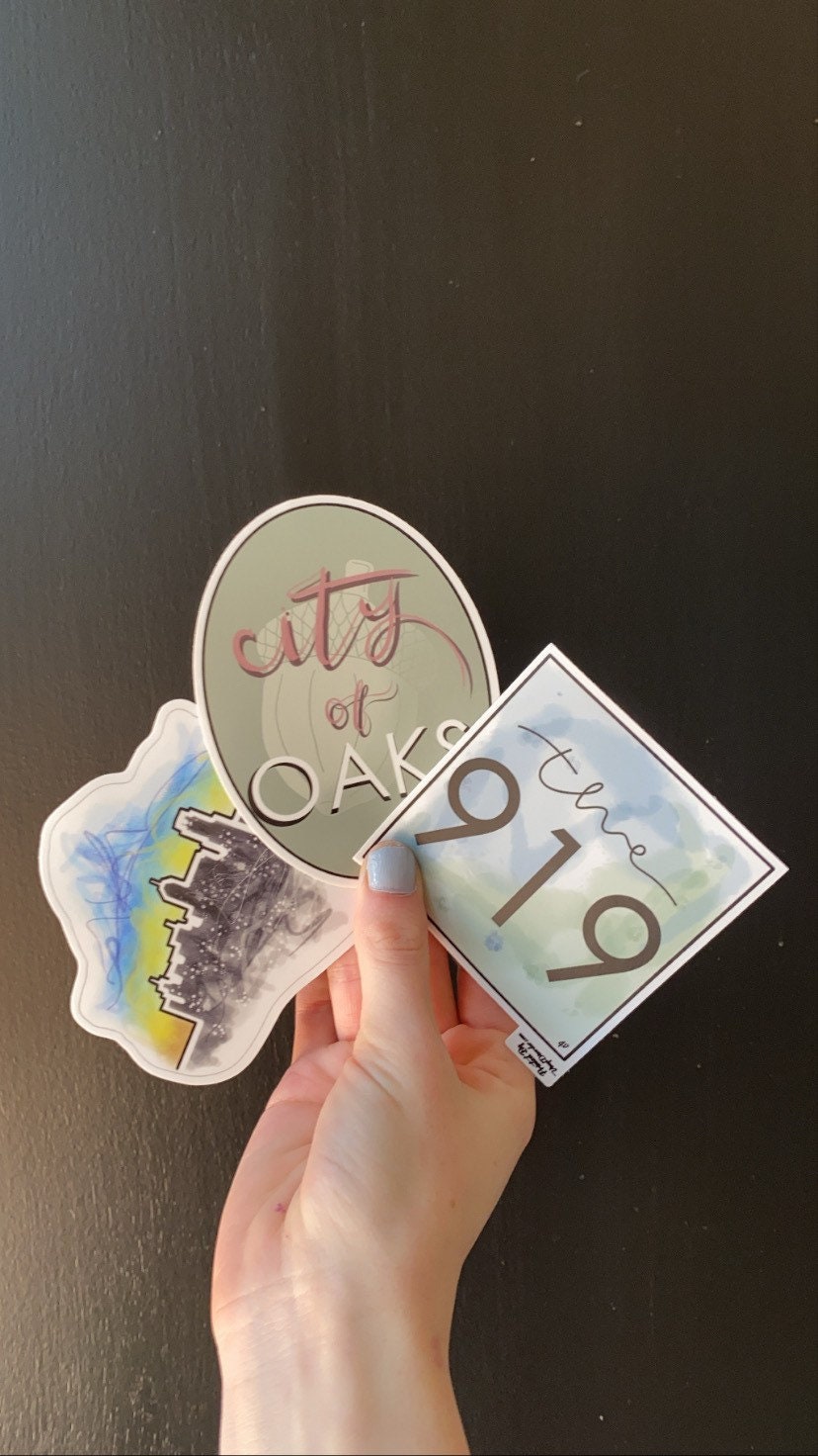 Raleigh Skyline Sticker