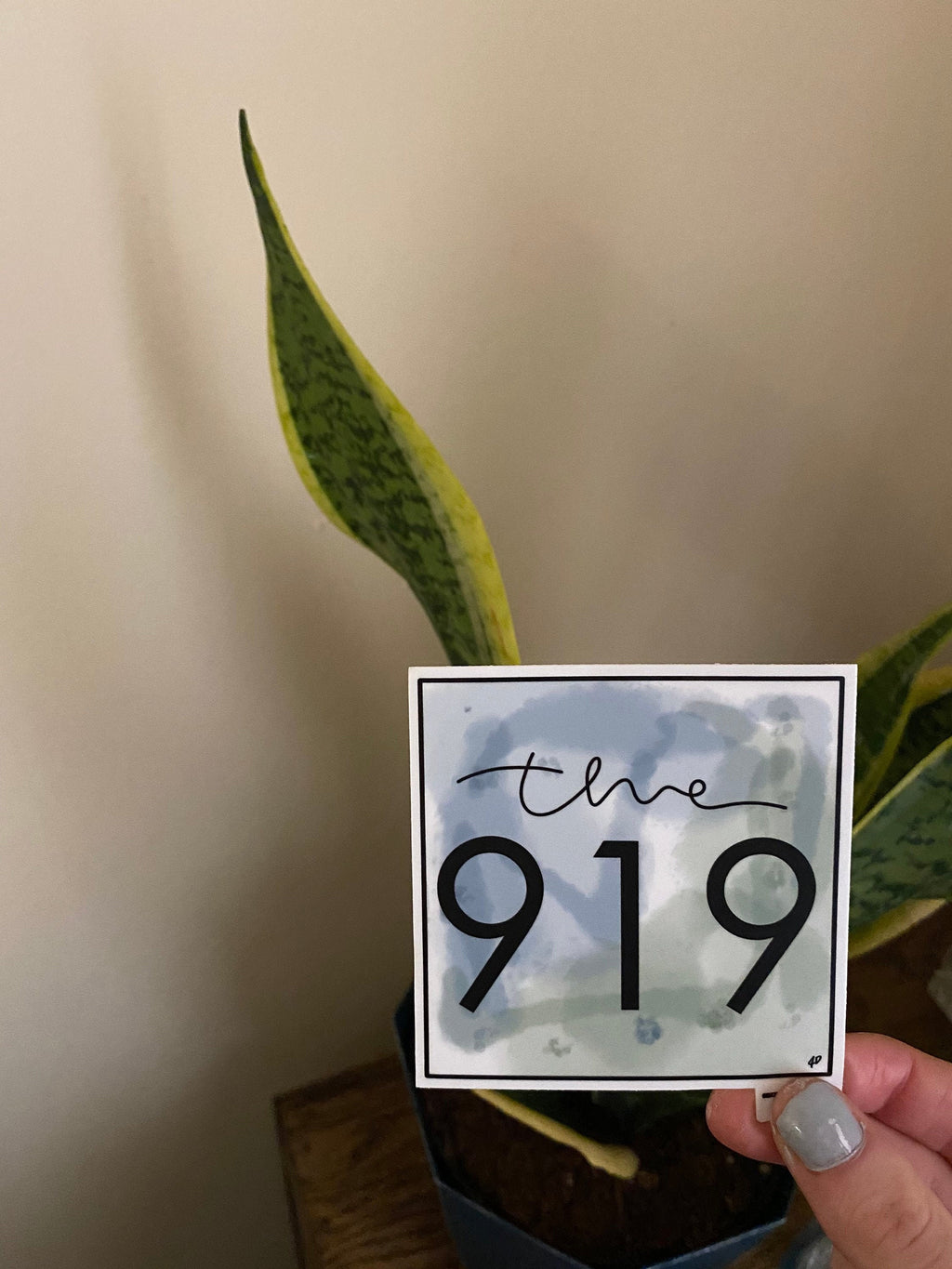 The 919 - area code sticker