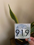 The 919 - area code sticker
