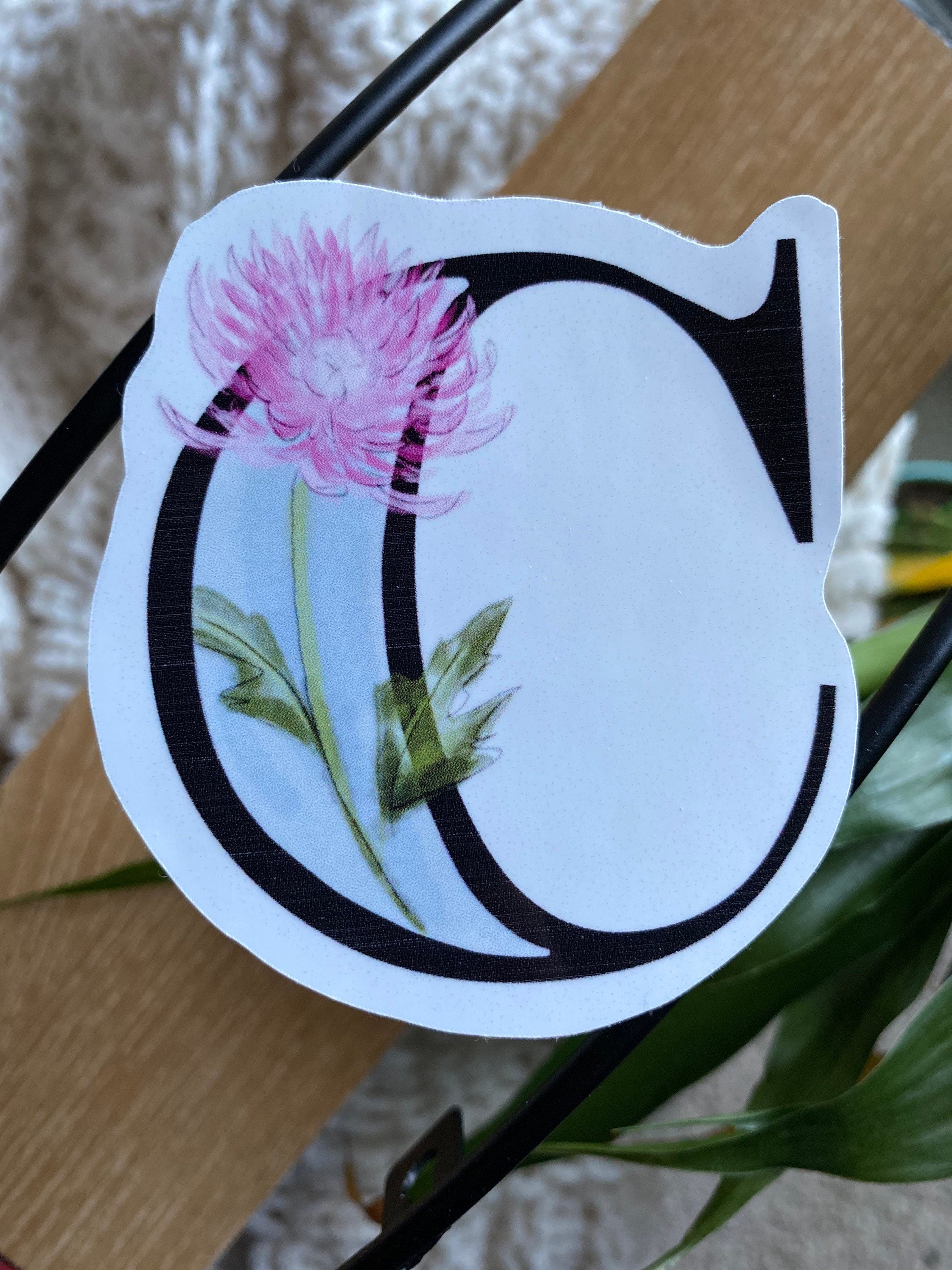 3” C is for chrysanthemum Sticker