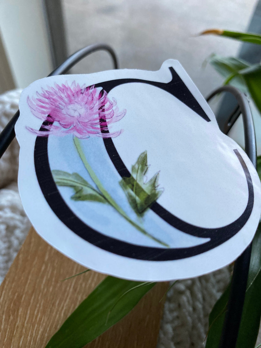 3” C is for chrysanthemum Sticker