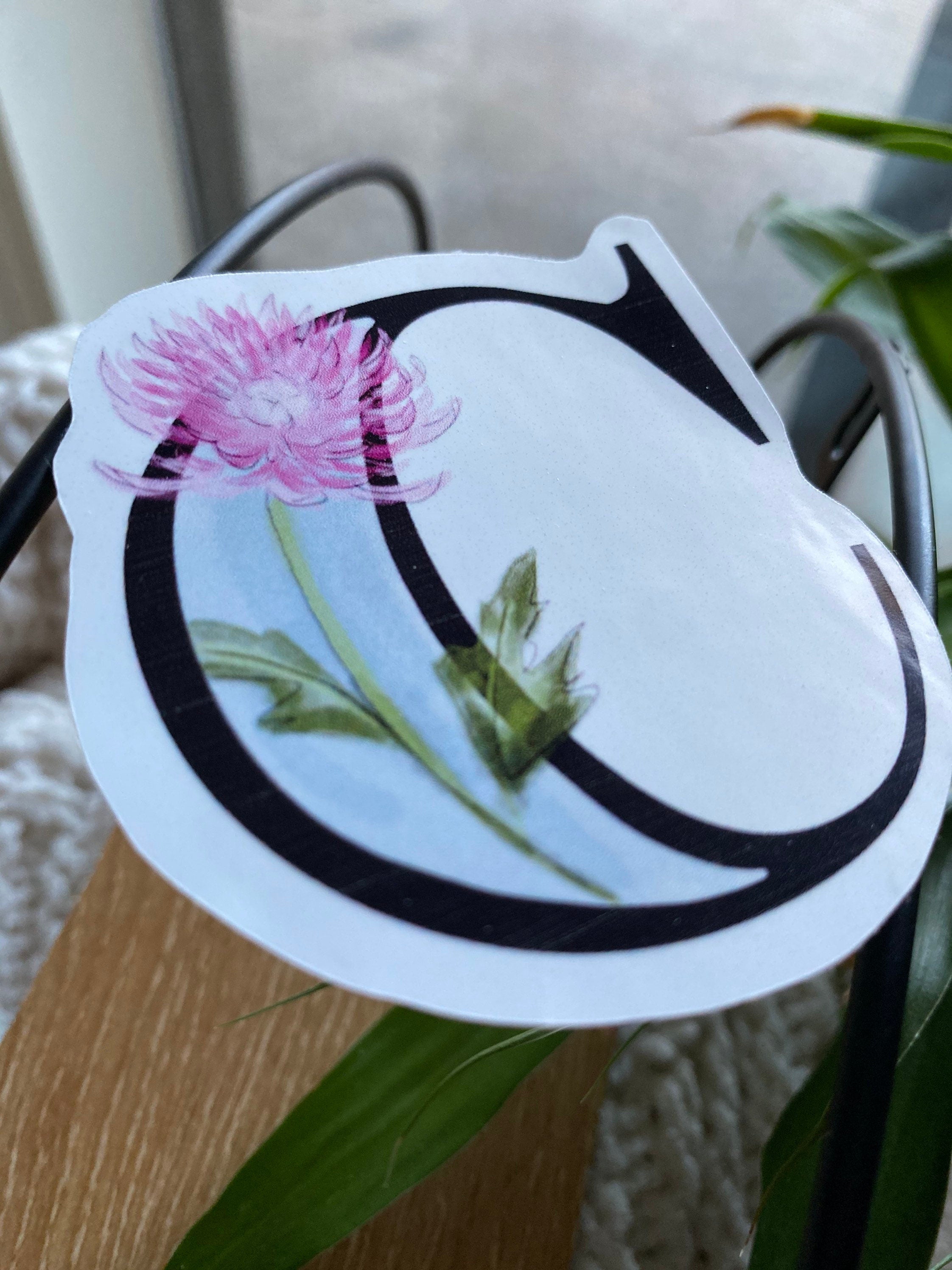 3” C is for chrysanthemum Sticker