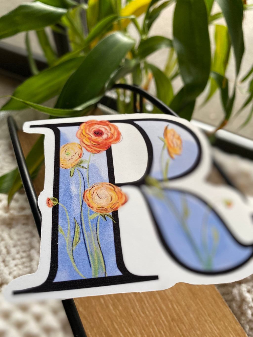 R is for ranunculus sticker
