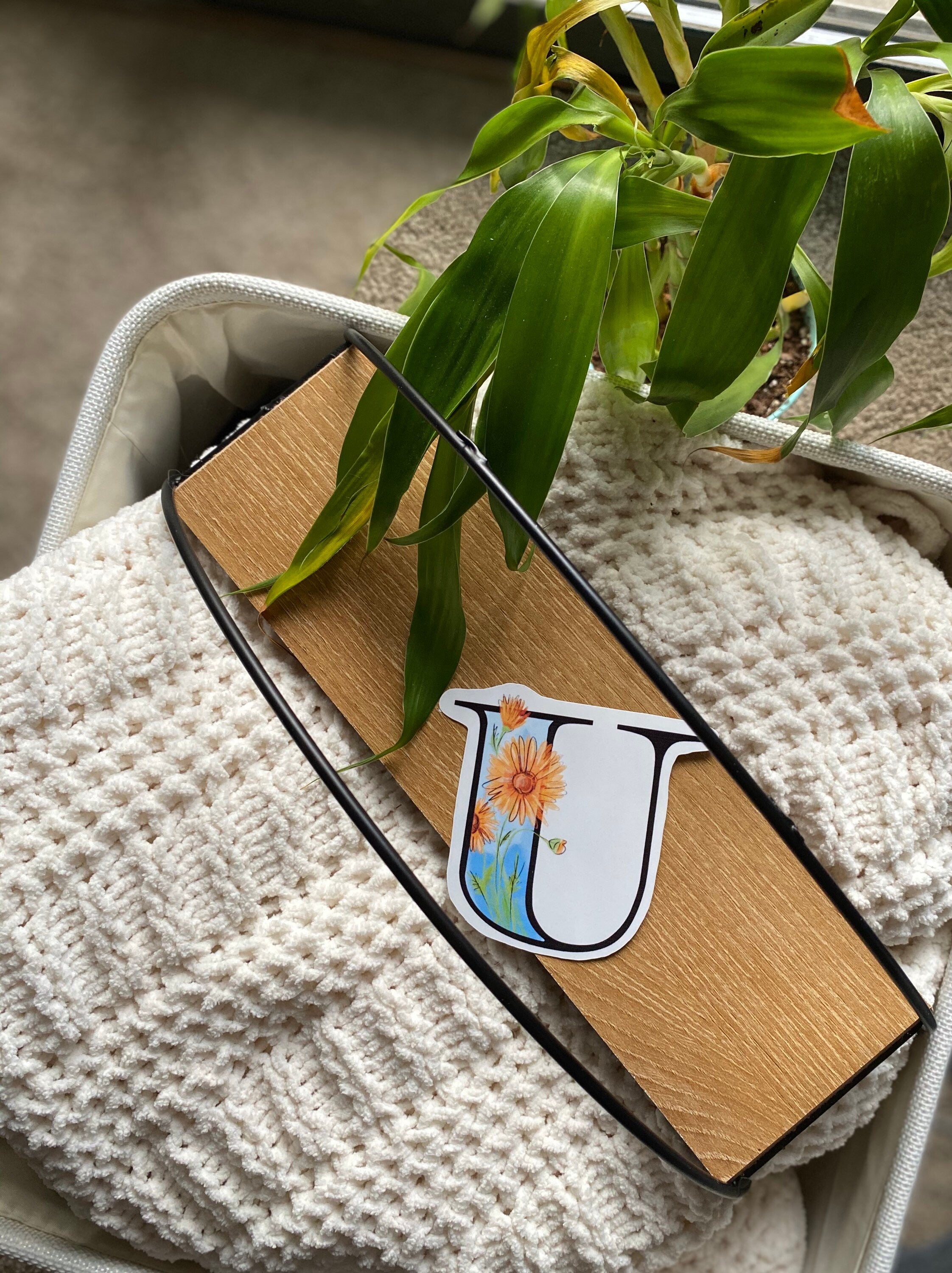 3” U is for ursinia sticker