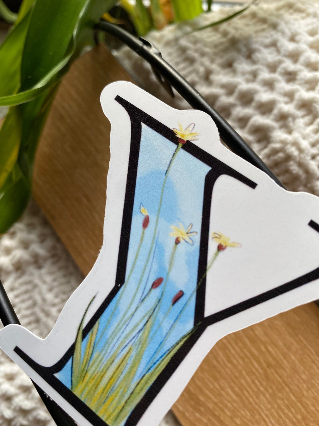 3” y is for yellow eyed grass sticker