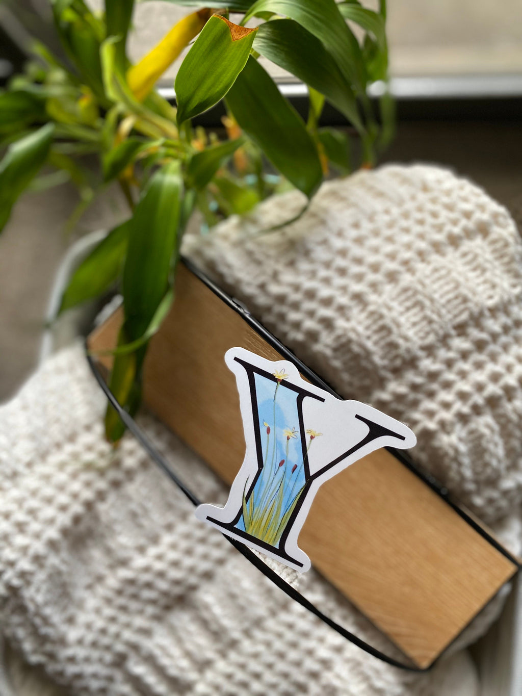 3” y is for yellow eyed grass sticker