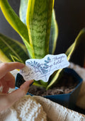 Colossians 1:17 sticker