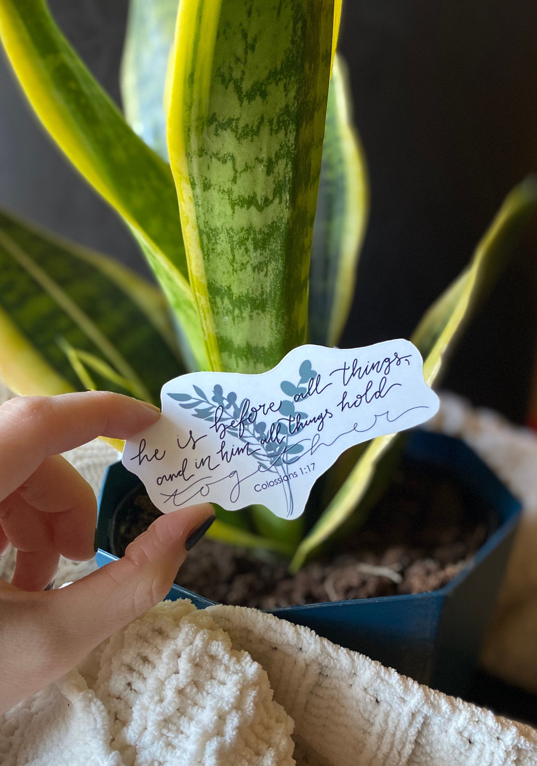 Colossians 1:17 sticker