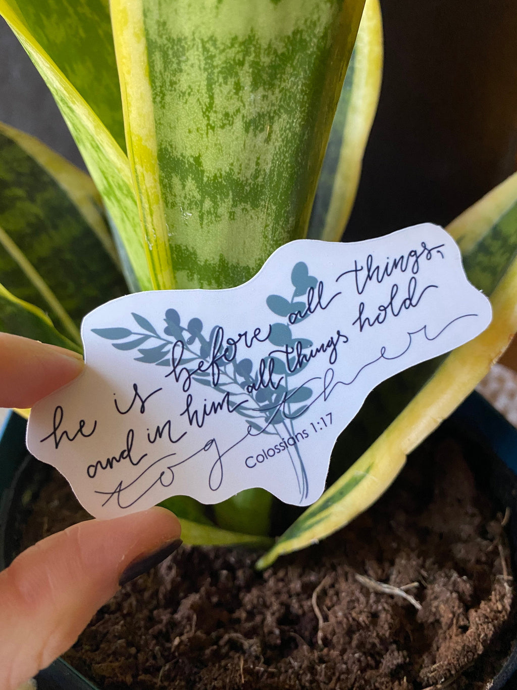 Colossians 1:17 sticker