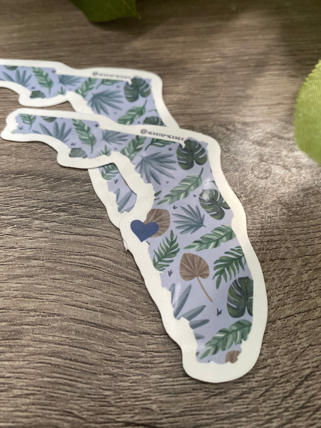 Florida State Outline Sticker