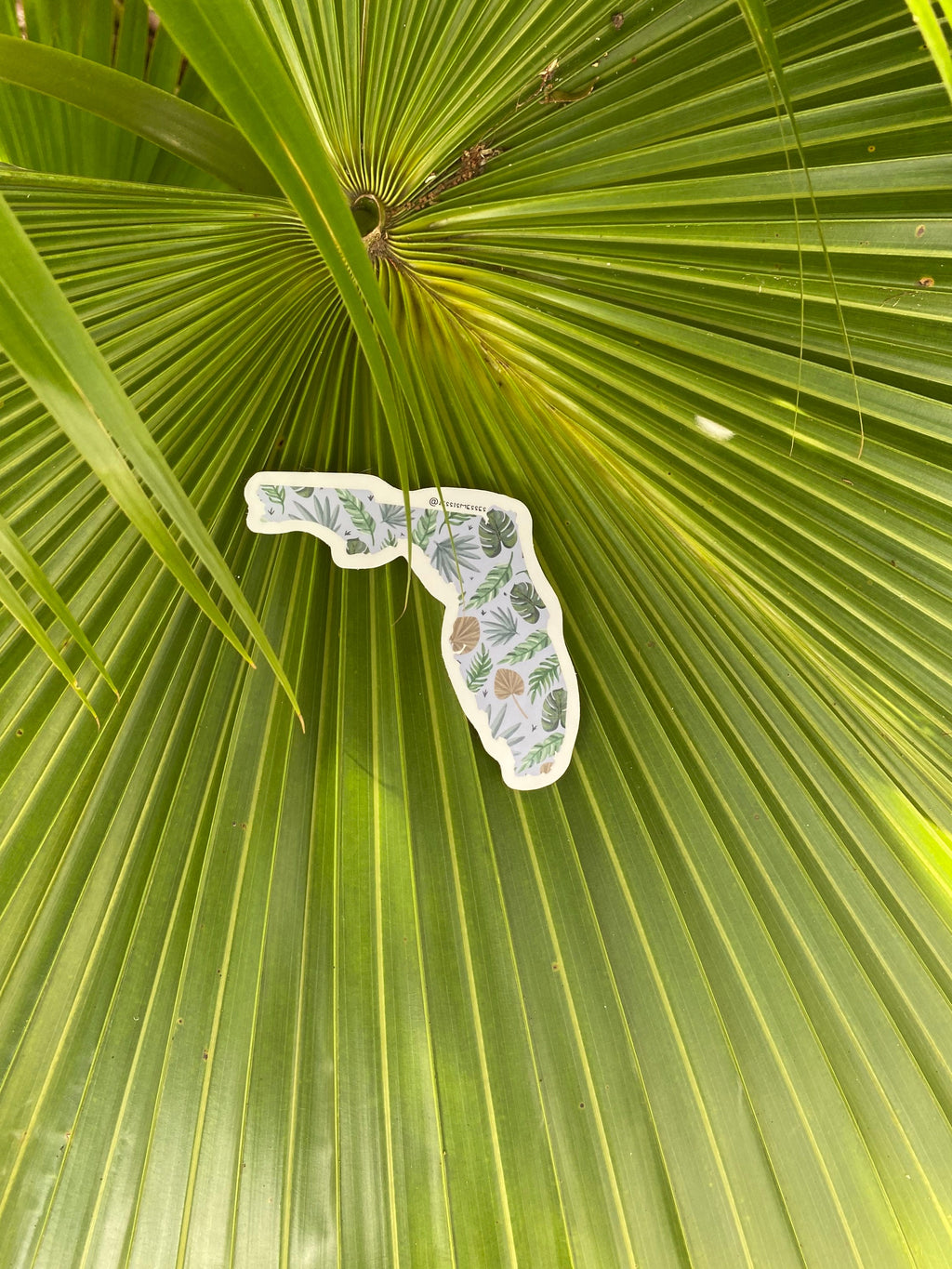 Florida State Outline Sticker