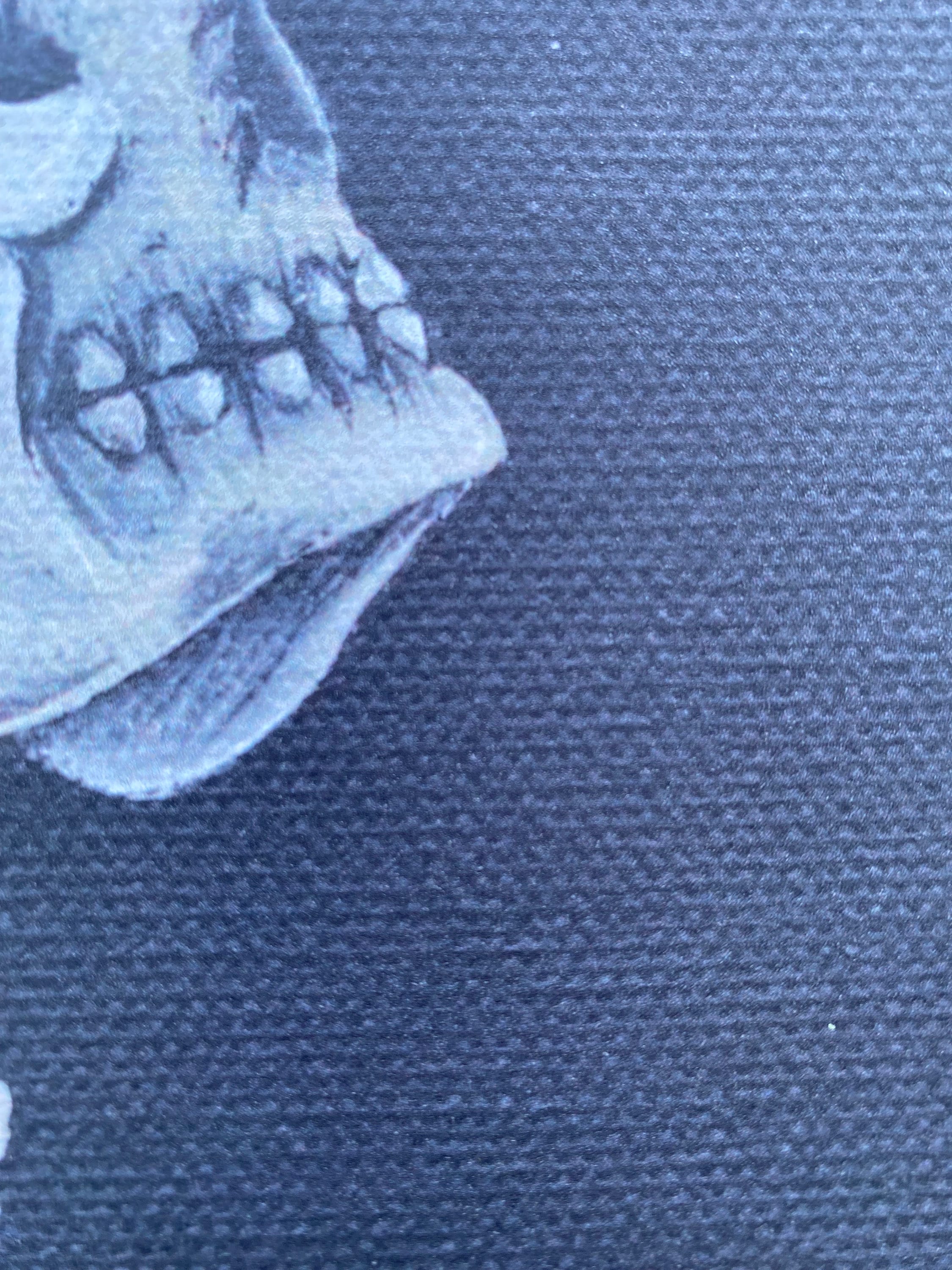 flower crown skull print