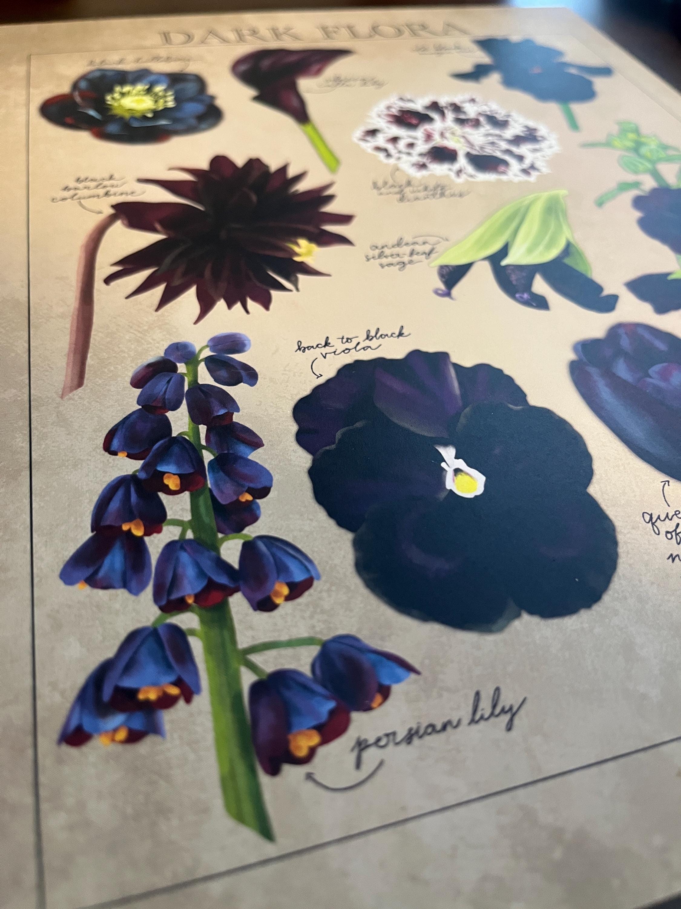 Dark Flora Poster